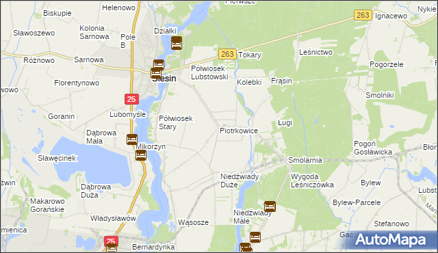 mapa Piotrkowice gmina Ślesin, Piotrkowice gmina Ślesin na mapie Targeo