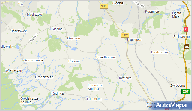 mapa Przedborowa, Przedborowa na mapie Targeo