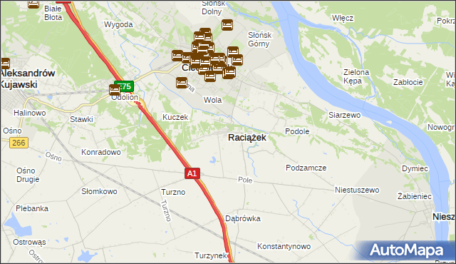 mapa Raciążek, Raciążek na mapie Targeo