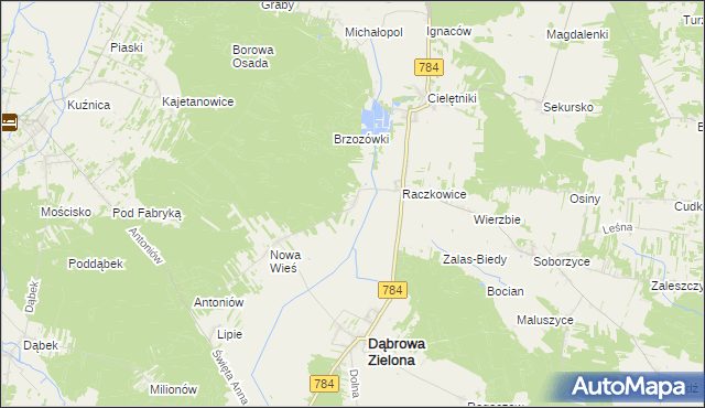 mapa Raczkowice-Kolonia, Raczkowice-Kolonia na mapie Targeo