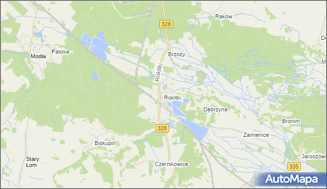 mapa Rokitki gmina Chojnów, Rokitki gmina Chojnów na mapie Targeo
