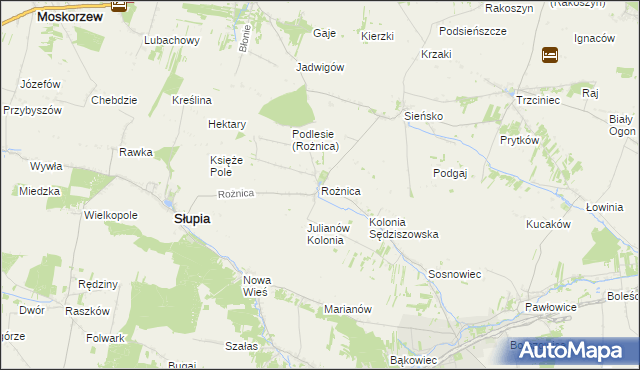 mapa Rożnica, Rożnica na mapie Targeo