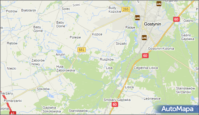 mapa Ruszków gmina Gostynin, Ruszków gmina Gostynin na mapie Targeo