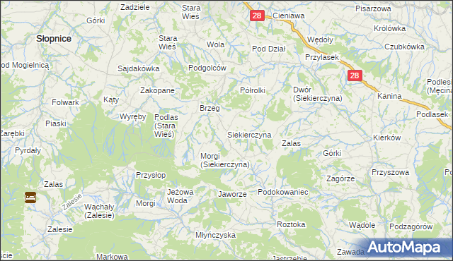 mapa Siekierczyna gmina Limanowa, Siekierczyna gmina Limanowa na mapie Targeo