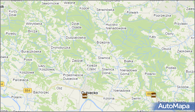 mapa Śliwnica gmina Dubiecko, Śliwnica gmina Dubiecko na mapie Targeo