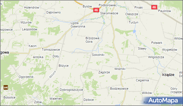 mapa Sokolniki gmina Niegowa, Sokolniki gmina Niegowa na mapie Targeo