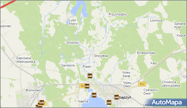 mapa Strzyżewo gmina Zbąszyń, Strzyżewo gmina Zbąszyń na mapie Targeo