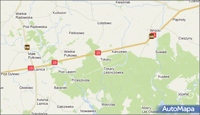 mapa Tokary gmina Golub-Dobrzyń, Tokary gmina Golub-Dobrzyń na mapie Targeo