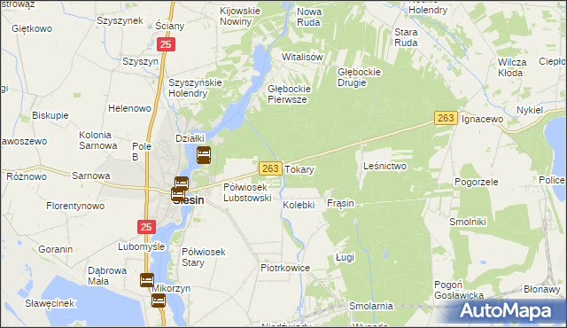 mapa Tokary gmina Ślesin, Tokary gmina Ślesin na mapie Targeo