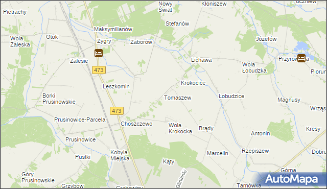 mapa Tomaszew gmina Szadek, Tomaszew gmina Szadek na mapie Targeo