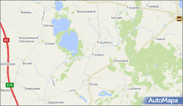 mapa Trzciano gmina Ryńsk, Trzciano gmina Ryńsk na mapie Targeo