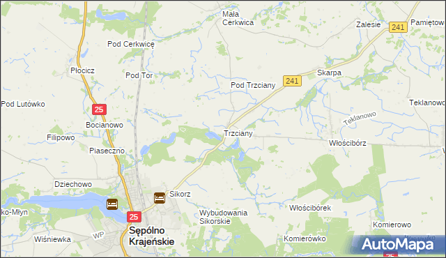 mapa Trzciany gmina Sępólno Krajeńskie, Trzciany gmina Sępólno Krajeńskie na mapie Targeo