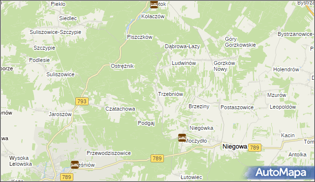mapa Trzebniów, Trzebniów na mapie Targeo
