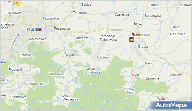 mapa Tuligłowy gmina Rokietnica, Tuligłowy gmina Rokietnica na mapie Targeo