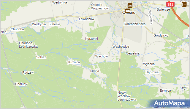 mapa Wachów, Wachów na mapie Targeo