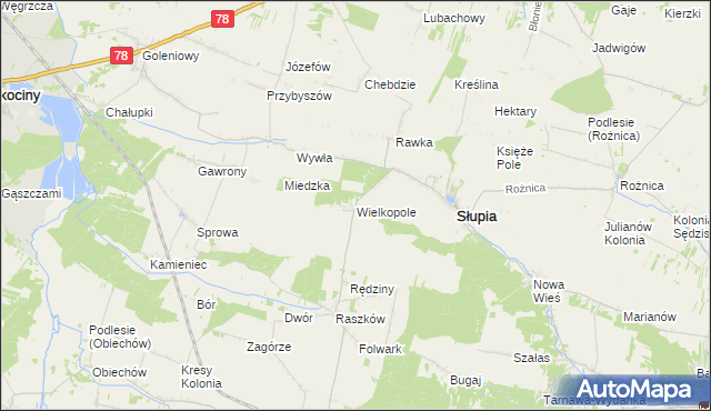 mapa Wielkopole gmina Słupia, Wielkopole gmina Słupia na mapie Targeo