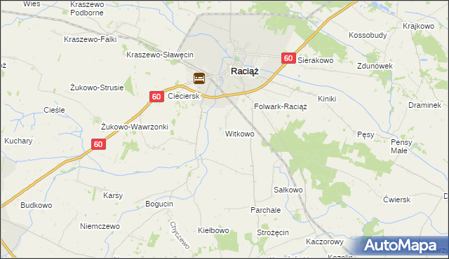 mapa Witkowo gmina Raciąż, Witkowo gmina Raciąż na mapie Targeo