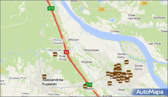 mapa Wołuszewo, Wołuszewo na mapie Targeo