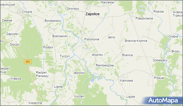 mapa Woźniki gmina Zapolice, Woźniki gmina Zapolice na mapie Targeo