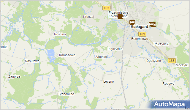 mapa Żabiniec gmina Białogard, Żabiniec gmina Białogard na mapie Targeo