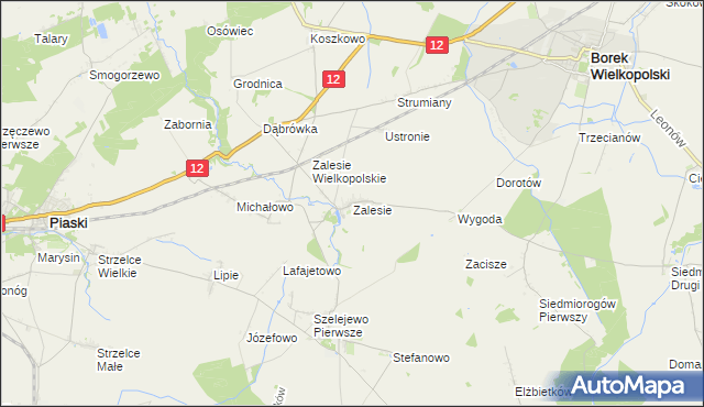 mapa Zalesie gmina Borek Wielkopolski, Zalesie gmina Borek Wielkopolski na mapie Targeo