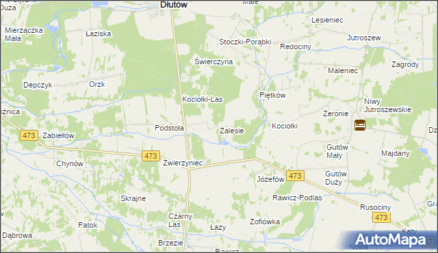 mapa Zalesie gmina Drużbice, Zalesie gmina Drużbice na mapie Targeo