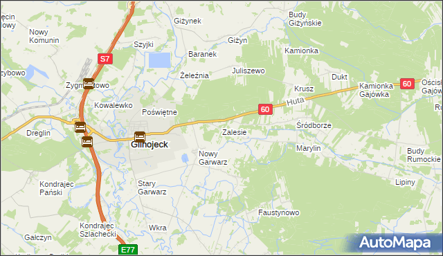 mapa Zalesie gmina Glinojeck, Zalesie gmina Glinojeck na mapie Targeo
