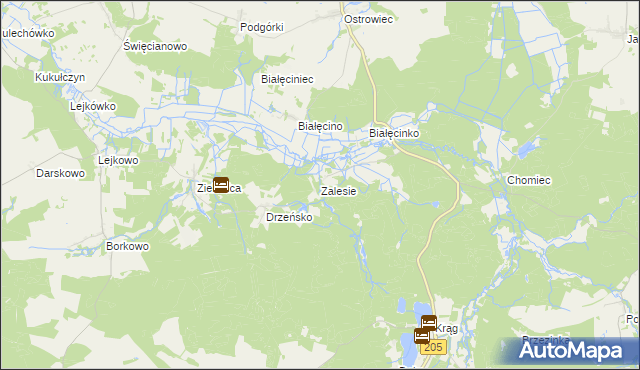 mapa Zalesie gmina Malechowo, Zalesie gmina Malechowo na mapie Targeo