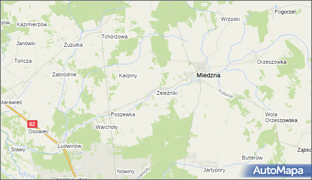 mapa Żeleźniki gmina Miedzna, Żeleźniki gmina Miedzna na mapie Targeo