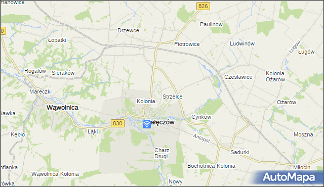 mapa Strzelce gmina Nałęczów, Strzelce gmina Nałęczów na mapie Targeo