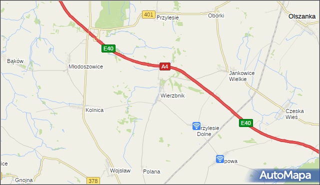 mapa Wierzbnik gmina Grodków, Wierzbnik gmina Grodków na mapie Targeo