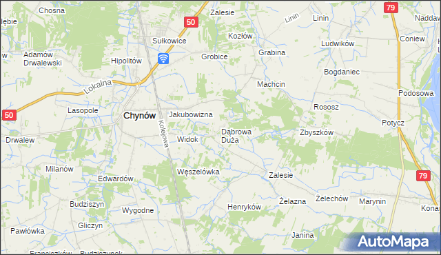 mapa Dąbrowa Duża gmina Chynów, Dąbrowa Duża gmina Chynów na mapie Targeo