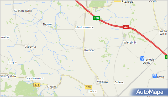 mapa Kolnica gmina Grodków, Kolnica gmina Grodków na mapie Targeo