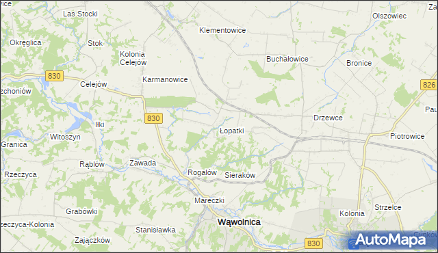 mapa Łopatki gmina Wąwolnica, Łopatki gmina Wąwolnica na mapie Targeo