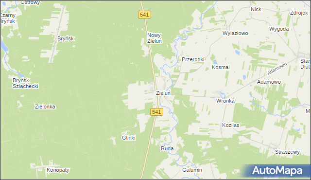 mapa Zieluń, Zieluń na mapie Targeo