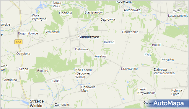 mapa Anielów gmina Sulmierzyce, Anielów gmina Sulmierzyce na mapie Targeo