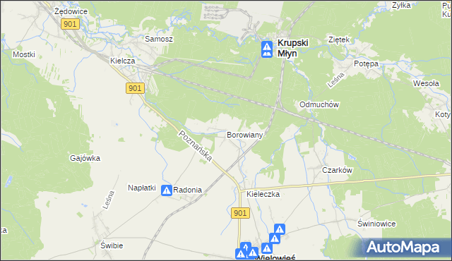 mapa Borowiany, Borowiany na mapie Targeo