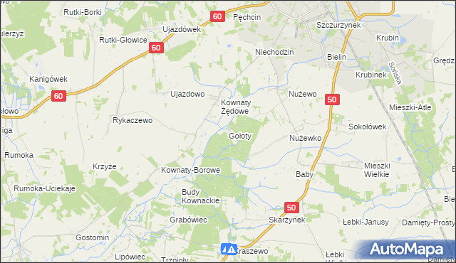 mapa Gołoty gmina Ciechanów, Gołoty gmina Ciechanów na mapie Targeo