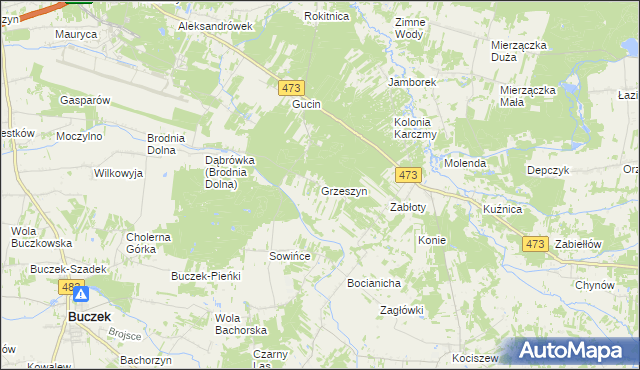 mapa Grzeszyn gmina Buczek, Grzeszyn gmina Buczek na mapie Targeo