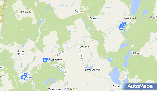 mapa Grzybno gmina Chojna, Grzybno gmina Chojna na mapie Targeo