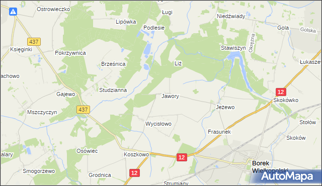 mapa Jawory gmina Borek Wielkopolski, Jawory gmina Borek Wielkopolski na mapie Targeo