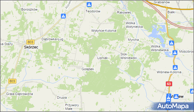 mapa Lipniak gmina Wiśniew, Lipniak gmina Wiśniew na mapie Targeo