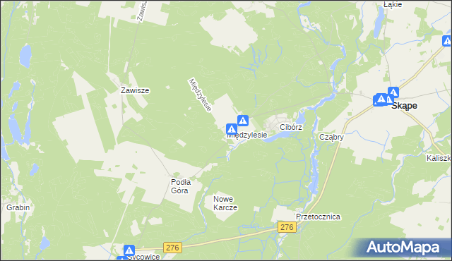 mapa Międzylesie gmina Skąpe, Międzylesie gmina Skąpe na mapie Targeo