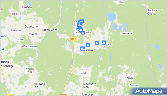 mapa Osowa gmina Hańsk, Osowa gmina Hańsk na mapie Targeo