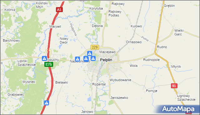 mapa Pelplin, Pelplin na mapie Targeo