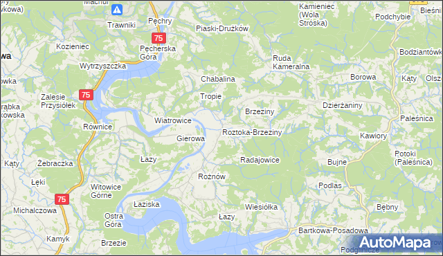 mapa Roztoka-Brzeziny, Roztoka-Brzeziny na mapie Targeo