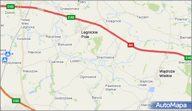 mapa Strachowice gmina Legnickie Pole, Strachowice gmina Legnickie Pole na mapie Targeo