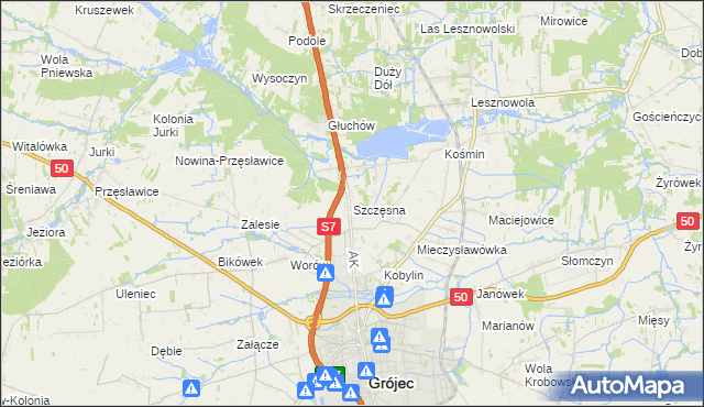 mapa Szczęsna, Szczęsna na mapie Targeo