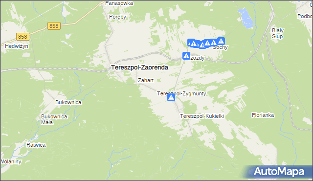 mapa Tereszpol-Zygmunty, Tereszpol-Zygmunty na mapie Targeo