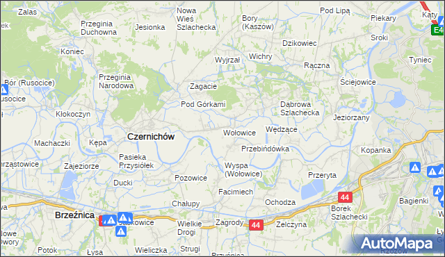 mapa Wołowice, Wołowice na mapie Targeo